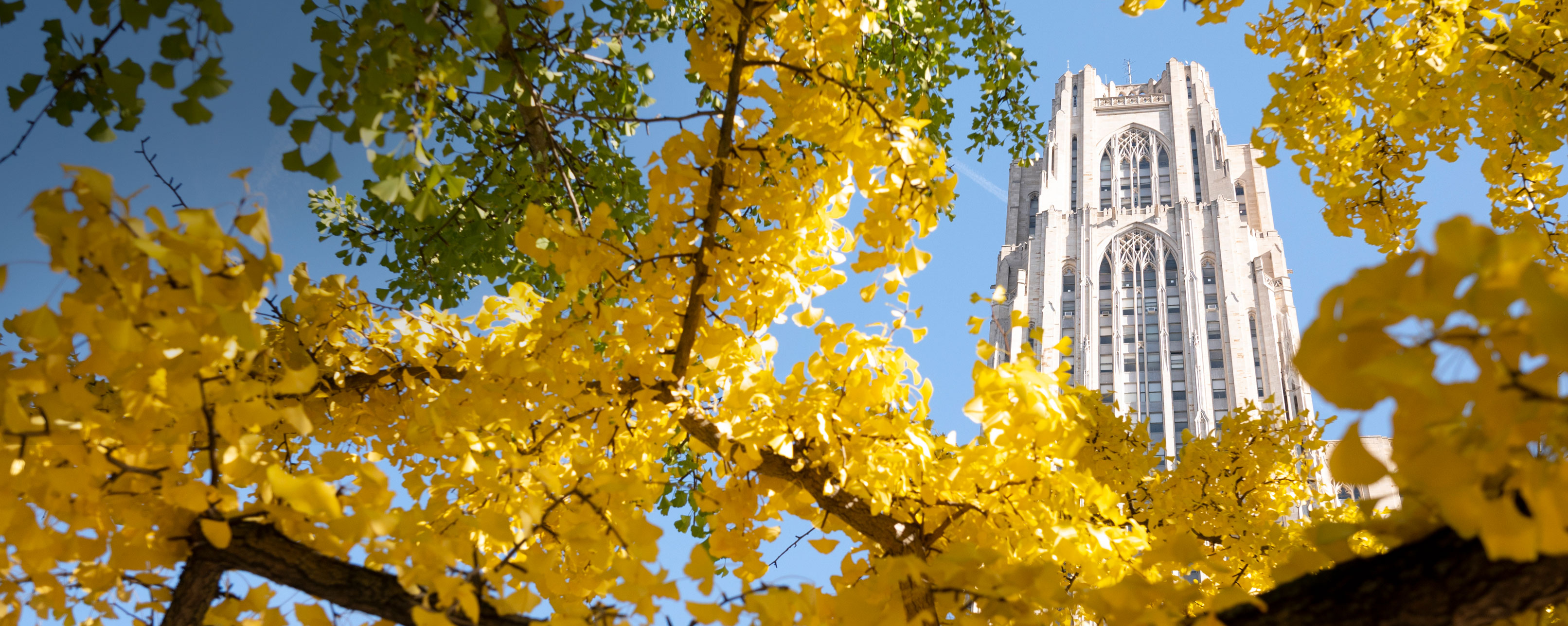 Cathedral of Learning in Autumn