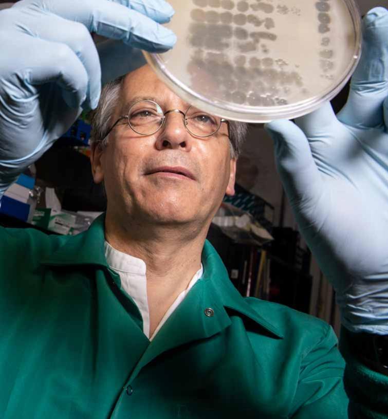 Dr. Grapham Hatful examining a petri dish